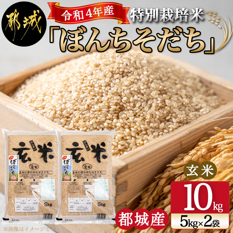 国産 令和4年産 白米 1.8kg 農薬栽培期間中不使用 - 米・雑穀・粉類