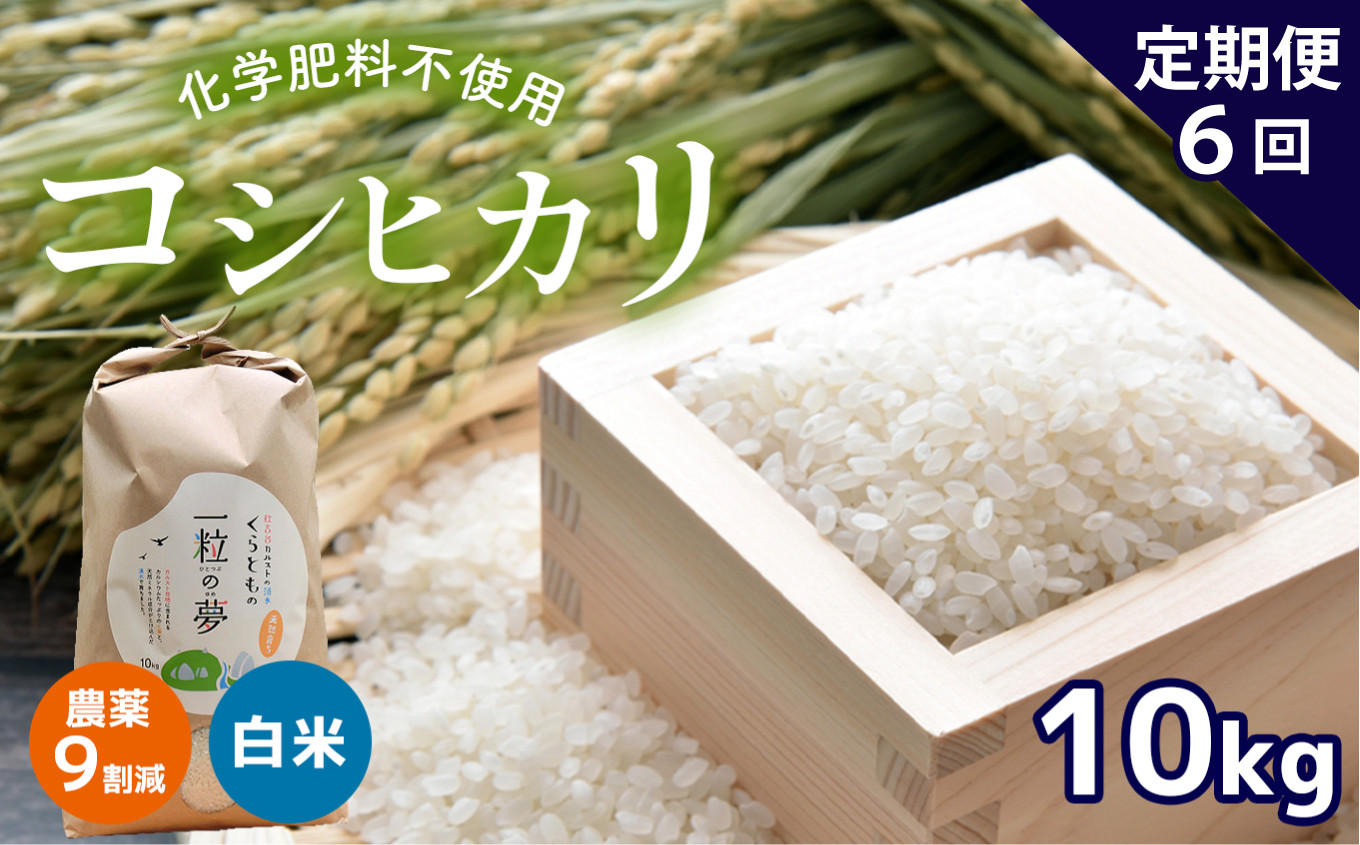 ふるさと納税 石川県 宝達志水町 米 コシヒカリ 「弘宝米」 玄米 10kg