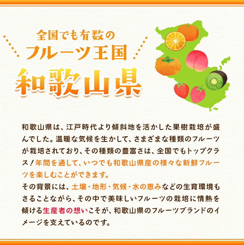 和歌山県紀の川市産 はるみ 約2kg 岸武青果株式会社《2024年3月上旬-5