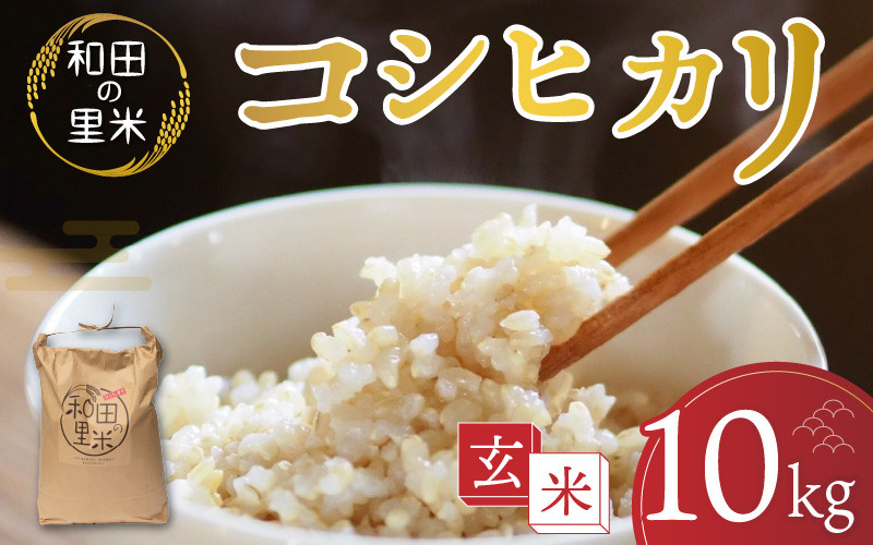 米麹 生麹 新潟県産コシヒカリ米使用 1kg 袋入り 冷凍（甘酒の麹や塩麹作り、味噌作りなどに最適です）