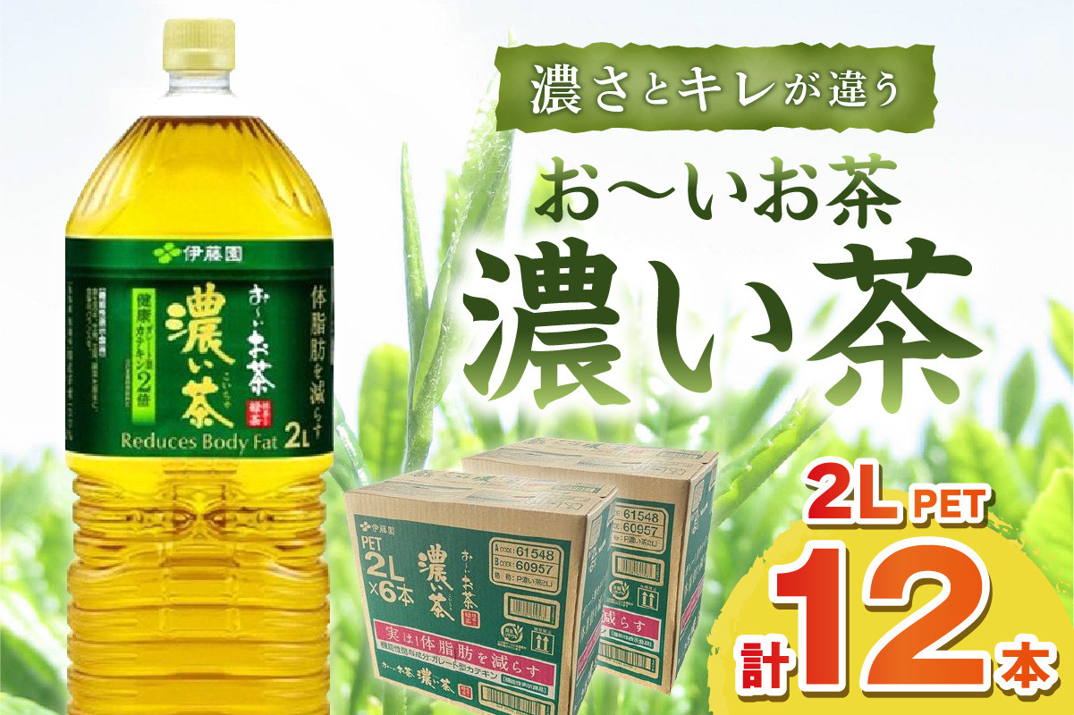 ふるさと納税 お〜いお茶 緑茶 2L×2ケース（12本） 兵庫県神戸市