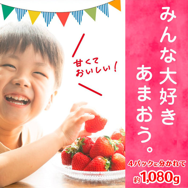 福岡県産 あまおう 約1,080g（約270g×4） ふるさと納税 いちご イチゴ