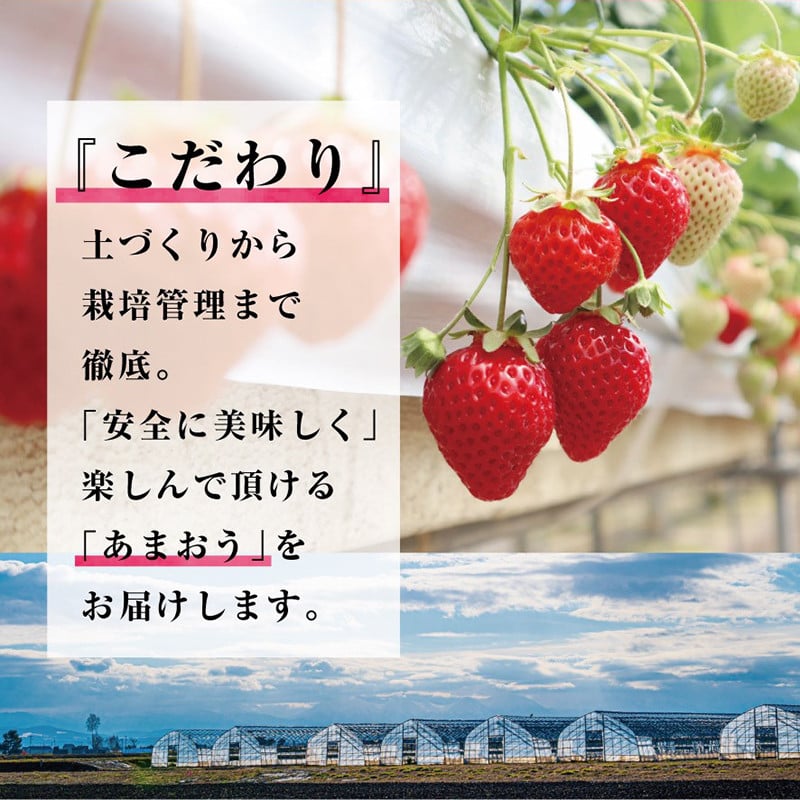 福岡県産 あまおう 約1,080g（約270g×4） ふるさと納税 いちご イチゴ