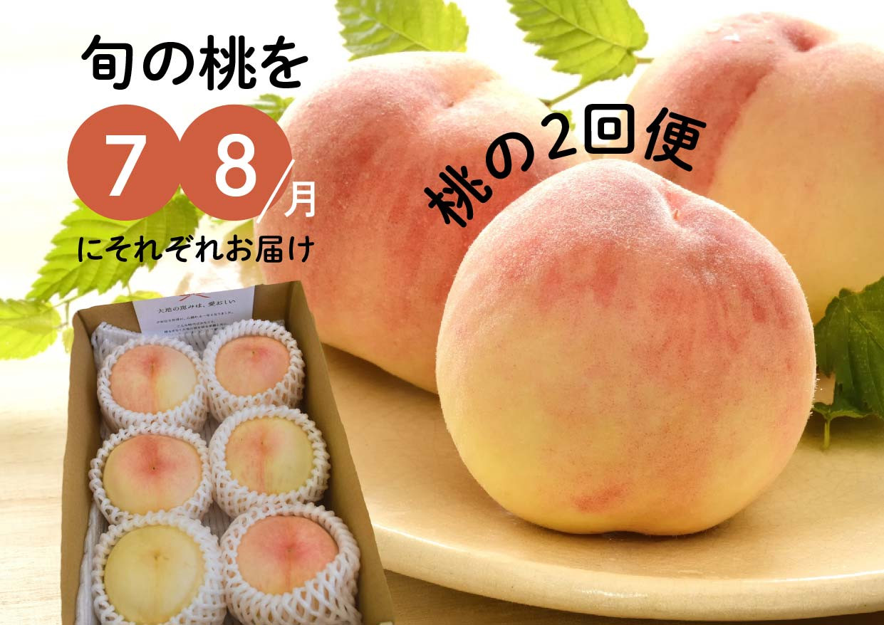KF-T12【きよとう】旬の桃の食べ比べを楽しむ、桃の２回便！ 岡山県真庭市｜ふるさとチョイス ふるさと納税サイト