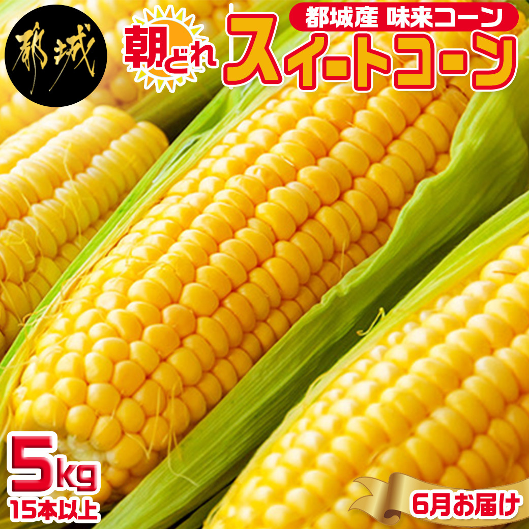 は自分にプチご褒美を 和コーン 和風 ecufilmfestival.com