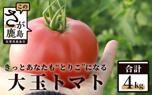 先行予約】 たにぐちファーム 大玉トマト 4kg 【2024年2月～6月出荷 