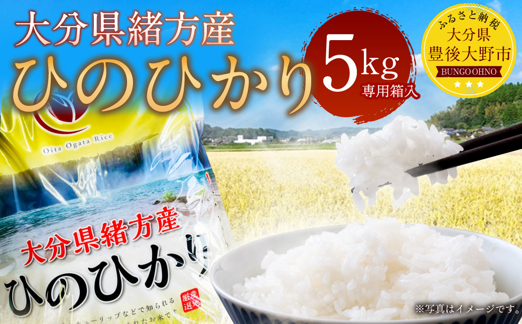 009-979 【2023年11月上旬より発送開始】大分県 緒方産 ひのひかり 5kg