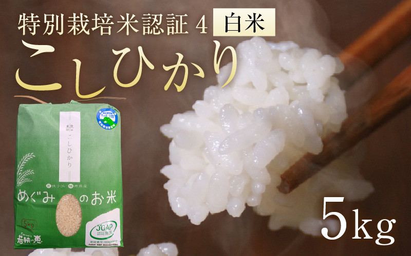 令和5年産】福井県産特別栽培米認証4こしひかり 白米5kg [A-002041