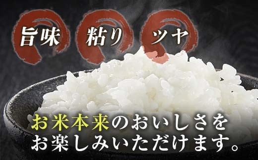 ≪数量限定≫新米コシヒカリ計10kg(5kg×2袋) 米 お米 ご飯 国産 BB73