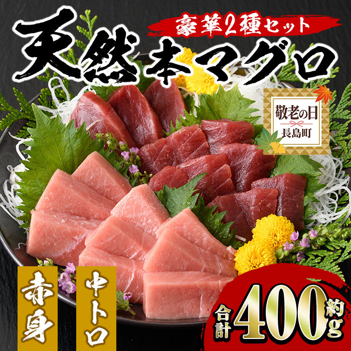 敬老の日＞天然本マグロ赤身・中トロ豪華2種セット！(合計約400g