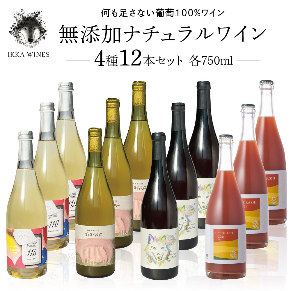 無添加ナチュラルワイン 4種12本セット IKKA WINES【1201−1】K-2271