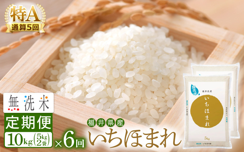 ふるさと納税 鯖江市 福井県産 いちほまれ 5kg全3回 - その他米、雑穀