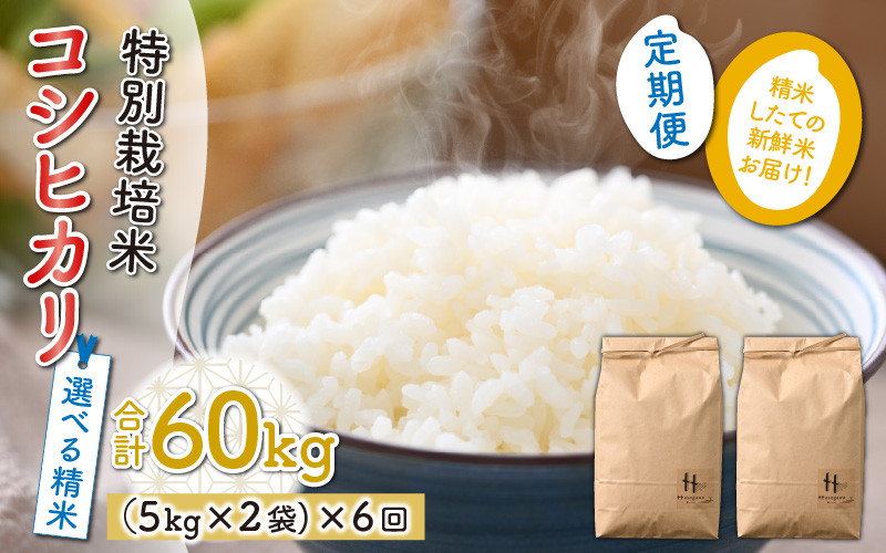 令和5年産新米】《定期便6回》特別栽培米 コシヒカリ