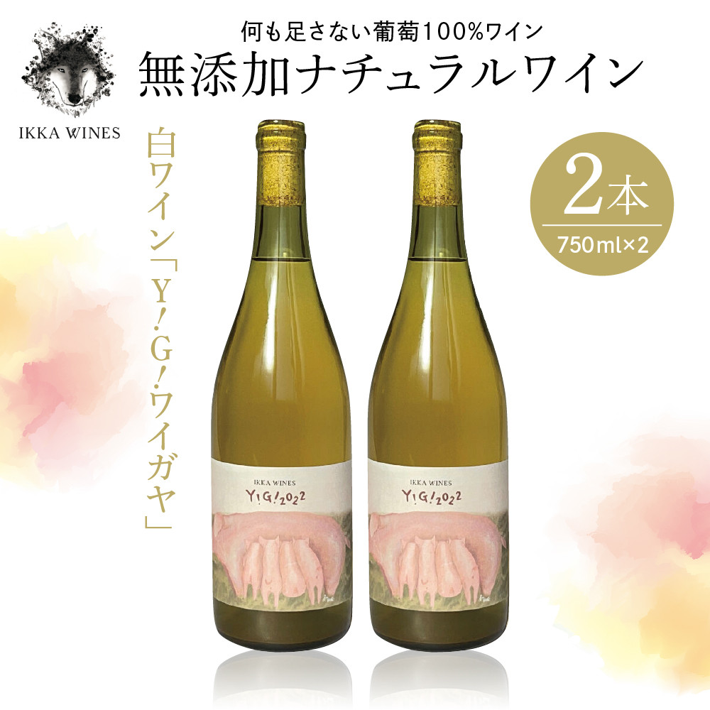 無添加ナチュラルワイン 白ワイン「Y!G!」2本セット IKKA WINES【204