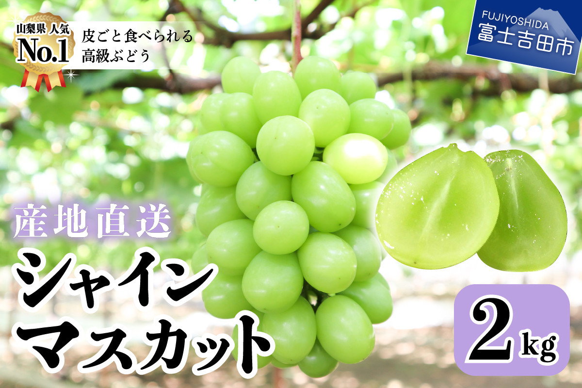 山梨県産 自宅用 シャインマスカット 2キロ箱 6~7房入り - 果物