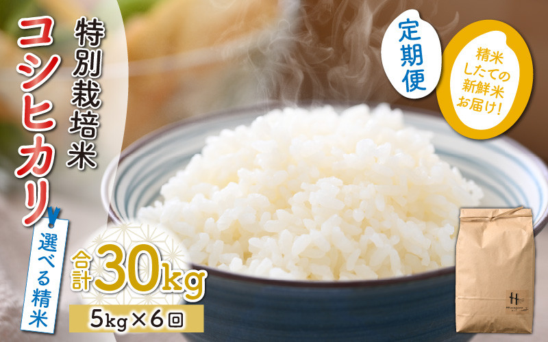 玄米】【令和5年産新米】《定期便6回》特別栽培米 コシヒカリ 5kg（計