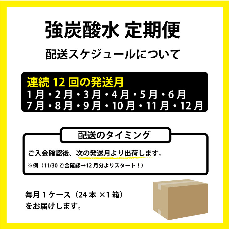 88%OFF!】 ふるさと納税 12ヶ月連続お届け 強炭酸水 500ml １ケース 24本入り ×12回 D52-001 佐賀県小城市 