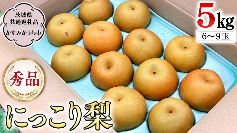 【2023年10月上旬発送開始】 にっこり梨 5kg 箱 秀品 6玉～9玉 (茨城県共通返礼品 かすみがうら市) 産地直送 フルーツ 甘い お正月  クリスマス 直送 茨城 限定 にっこり [DI001sa]