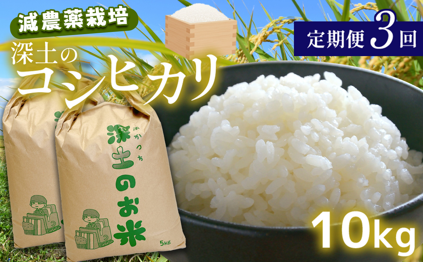 定期便3回 深土の特別米コシヒカリ 10kg×3(2ヶ月毎×3回) | 減農薬