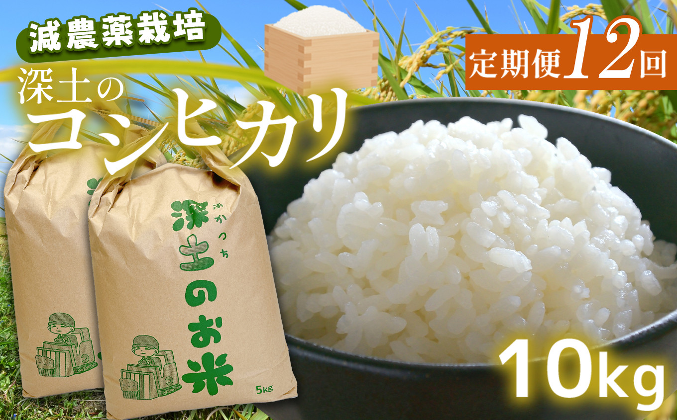 令和5年度 山口県産ヒノヒカリ玄米1.8㎏ 農薬不使用 【驚きの値段