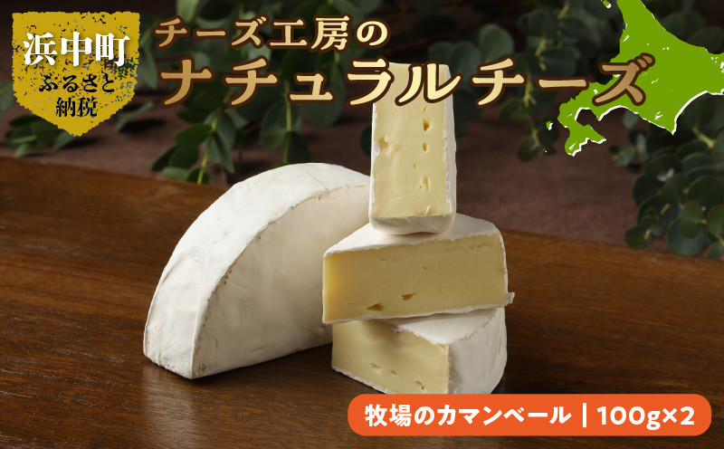 チーズ工房のナチュラルチーズ　牧場のカマンベール100g×2_H0003-010