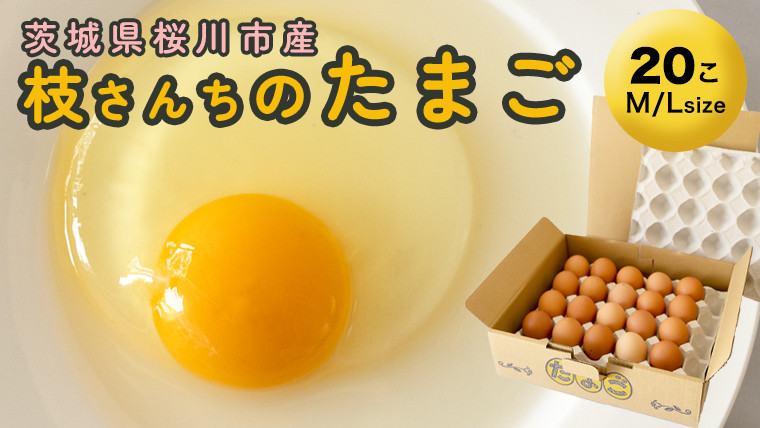 ふるさと納税 相模原市田名のおがわのたまご　ピンク卵 Mサイズ 30個(27個＋割れ補償3個)×6か月 神奈川県相模原市