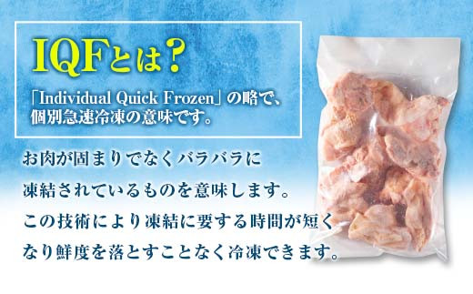 小分けで便利 カット済 若鶏 もも肉 計2.5kg 250g×10袋 肉 鶏 鶏肉 国産 おかず 食品 お肉 チキン 送料無料_B219-23