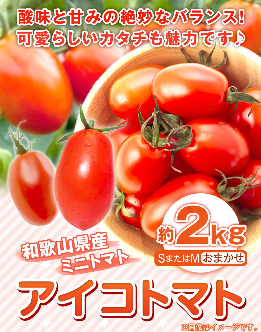 和歌山産 ミニトマト アイコトマト 約2kg SまたはMサイズ サイズ