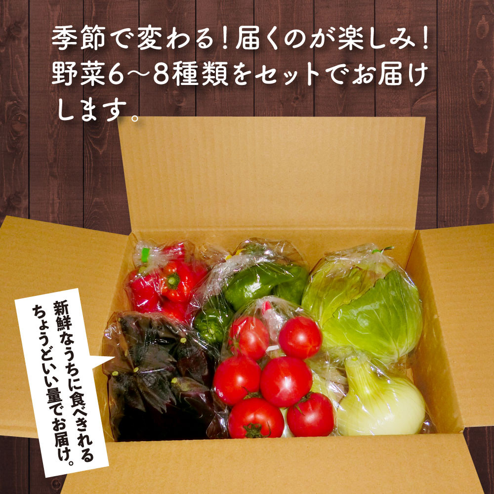高知県芸西村｜ふるさとチョイス　朝どれ！野菜の詰合せ／芸西村で採れた新鮮な野菜6～8種類をお届けします。　ふるさと納税サイト
