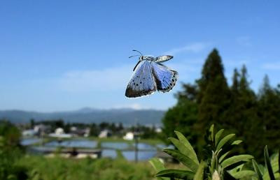 写真