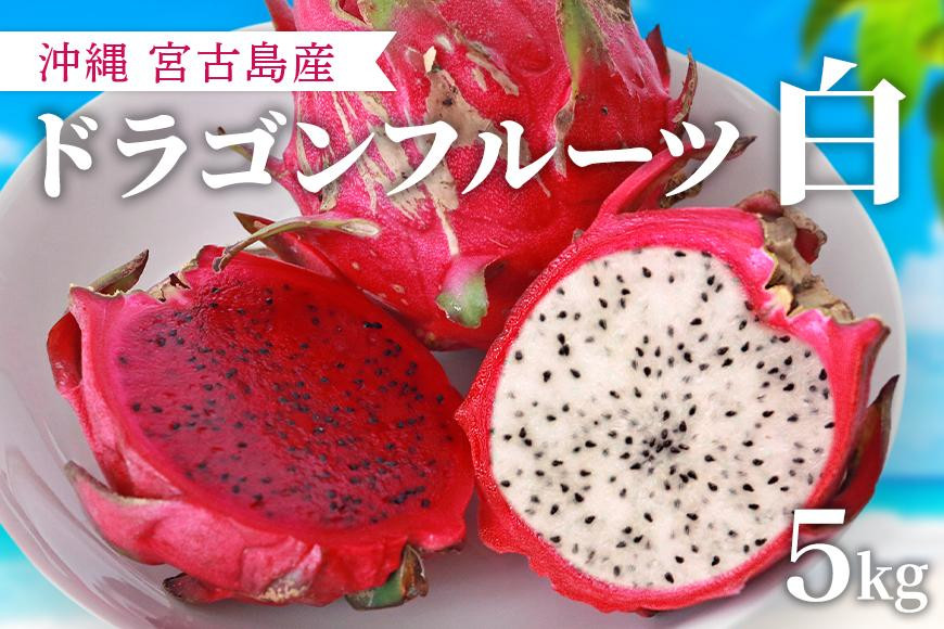 沖縄県産 ドラゴンフルーツ 赤5kg - 果物