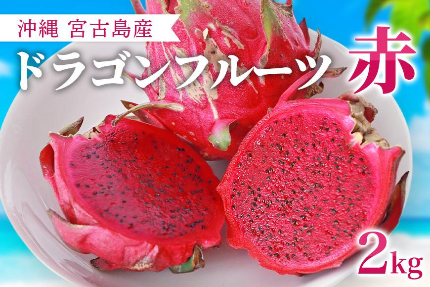 沖縄県産 ドラゴンフルーツ 赤2kg