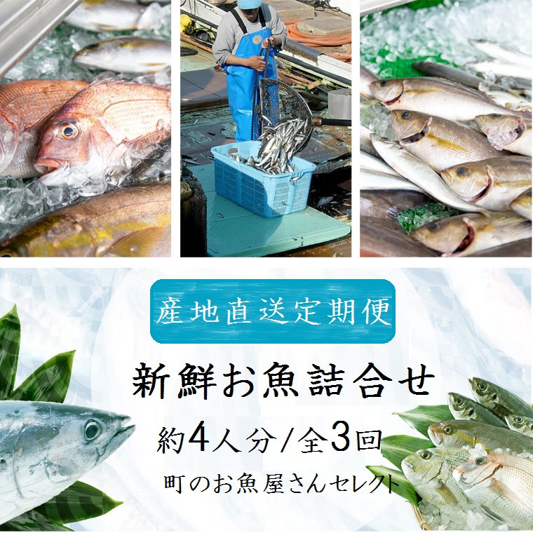 C09002 【3回定期便】魚屋さんの選んだ新鮮お魚詰め合わせ(約4人分) 【マルケイ水産】