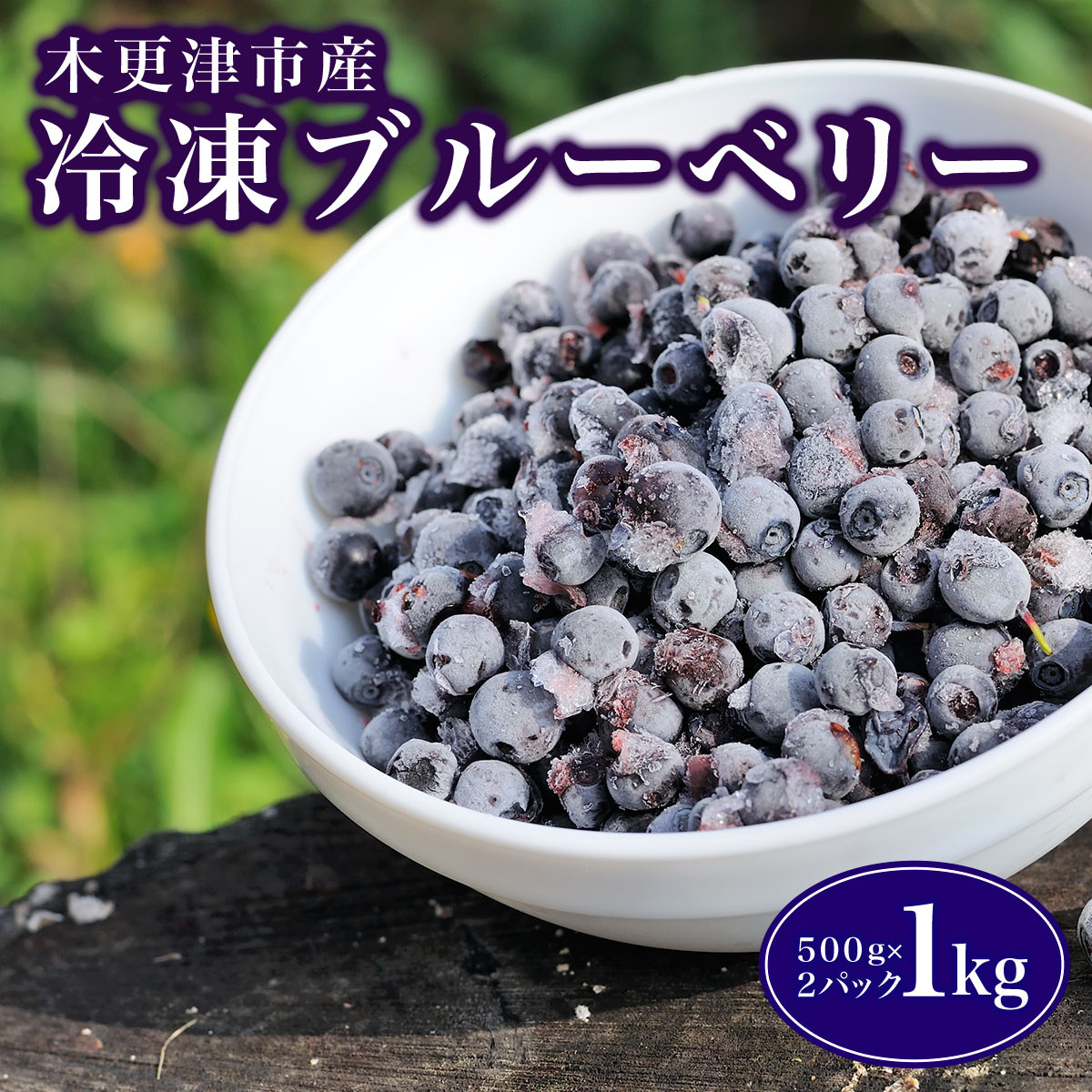 ブルーベリー　1.8kg　千葉県産　甘熟　生ブルーベリー　栽培期間中農薬不使用