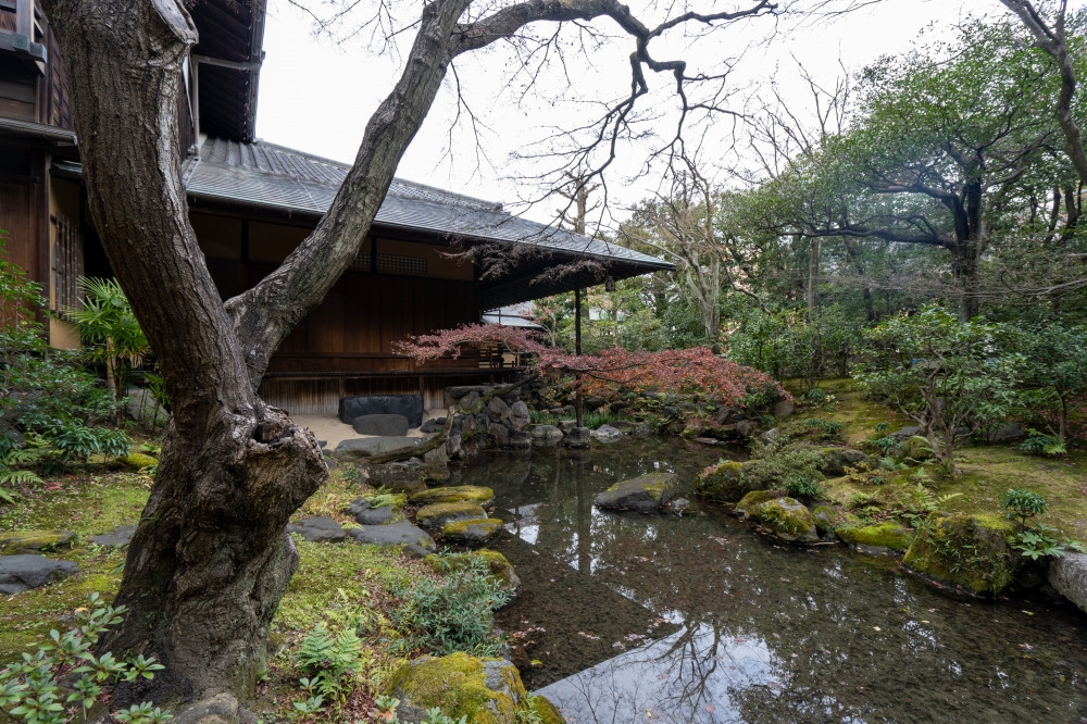 京都市指定名勝の庭園