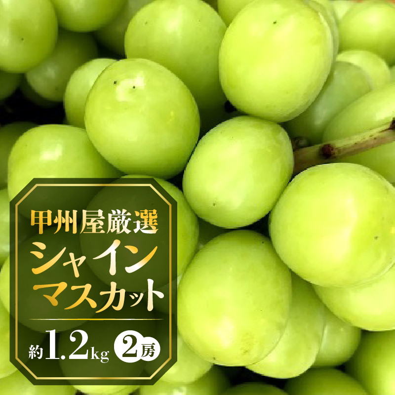 甲州屋厳選 シャインマスカット 約１．２ｋｇ B-116 - 山梨県甲州市