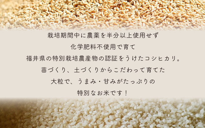 令和5年産 新米 希少米もこの価格！緑肥＆有機肥料 特別栽培米20キロ - 米
