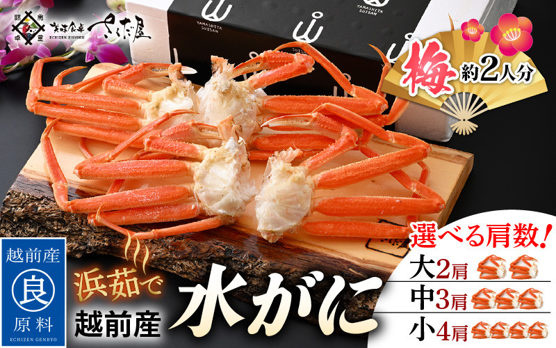 1 1到着 ローズ様 トゲズワイガニ 1箱 - 魚介類(加工食品)