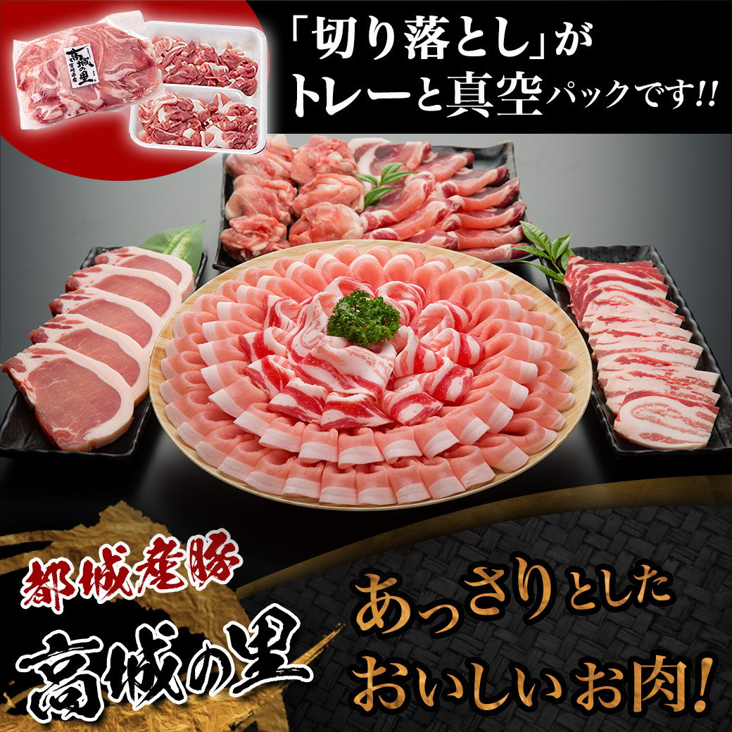 ふるさと納税 肉 都城市 都城産豚「高城の里」切落とし 小分け真空