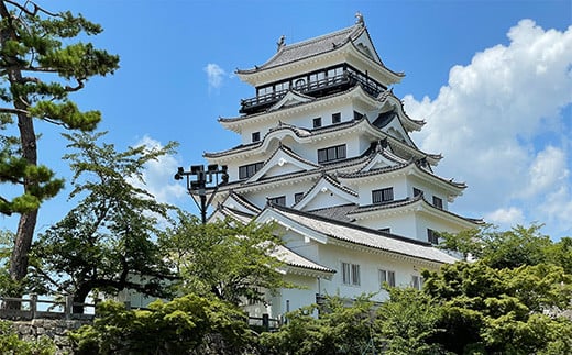 福山城築城400年記念グッズ 福山城刺繍デニムポーチ <navy×gold> 福山 