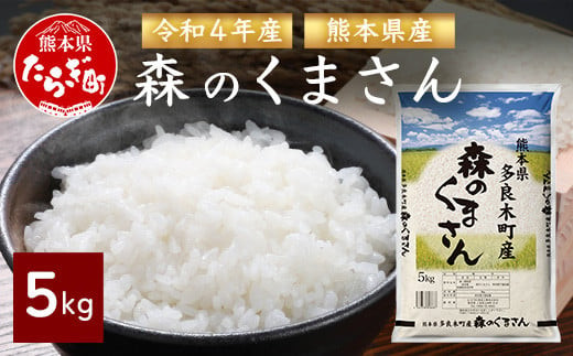 令和5年産 ぴかまる 5kg 【 令和5年産 新米 美味しいお米 甘みのあるお