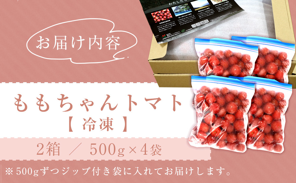 甘さ◎鹿児島産 スナップえんどう 500g 美味しい スナップエンドウ401