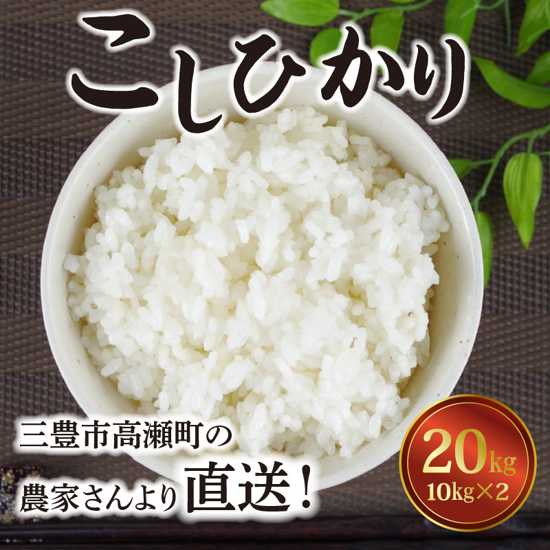 令和5年 香川県産 コシヒカリ 白米20キロ - 米/穀物