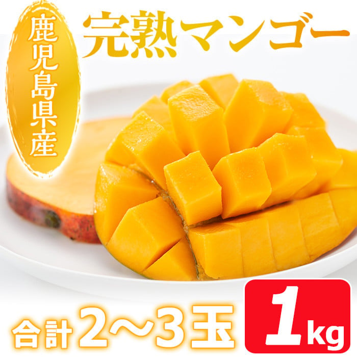 【栽培期間中、農薬不使用！】アップルマンゴー 1kg(2〜3個)