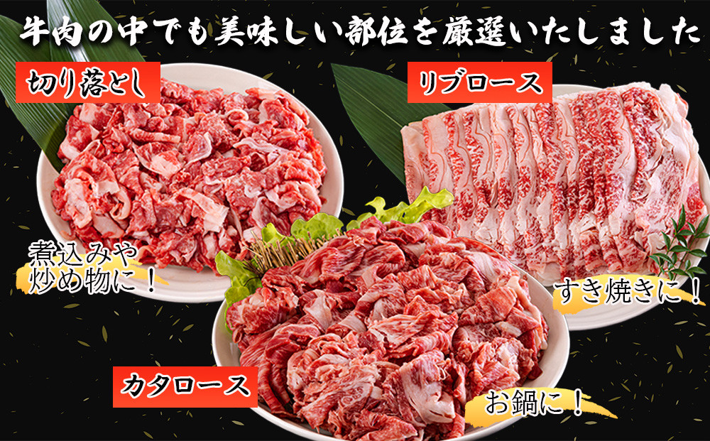 ふるさと納税 宮崎牛 豪華 バラエティ 定期便 6ヶ月 ウデ 焼肉 肩ロース カタ クラシタ スライス 薄切り リブロース サーロイン ステーキ もも .. 宮崎県美郷町