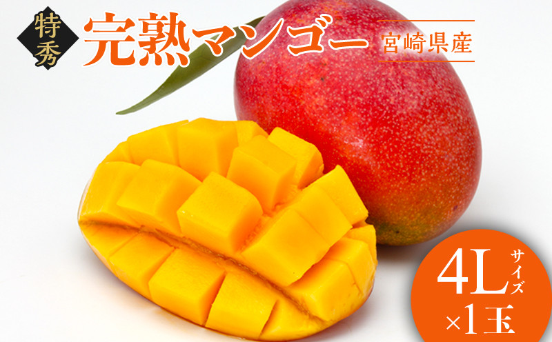 [予約 5月8日-5月14日の納品] 母の日 マンゴー 完熟マンゴー 大玉 4L 5玉 秀品 宮崎県産