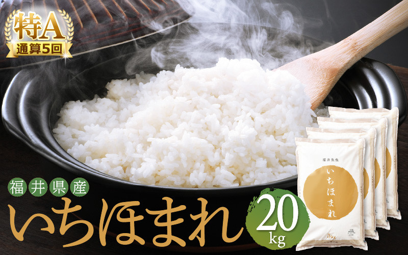 無農薬玄米20kg　米　令和5年度産　新米コシヒカリ