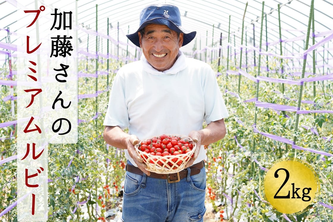 ふるさと納税 北海道 奈井江町 江口農園完熟つぶしトマト - トマト