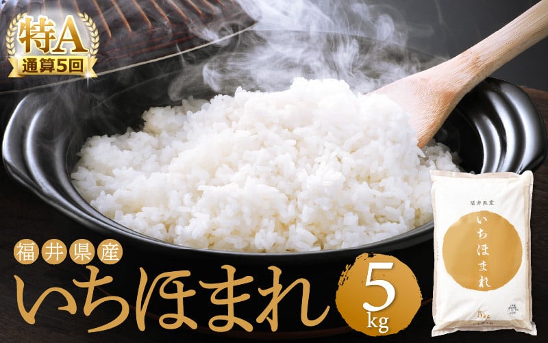 精米　5kg　福井県産【米　福井県越前町｜ふるさとチョイス　新米】年内発送！特A通算5回！お米　いちほまれ　年内配送】　[e27-a016]　令和5年　5キロ　ふるさと納税サイト