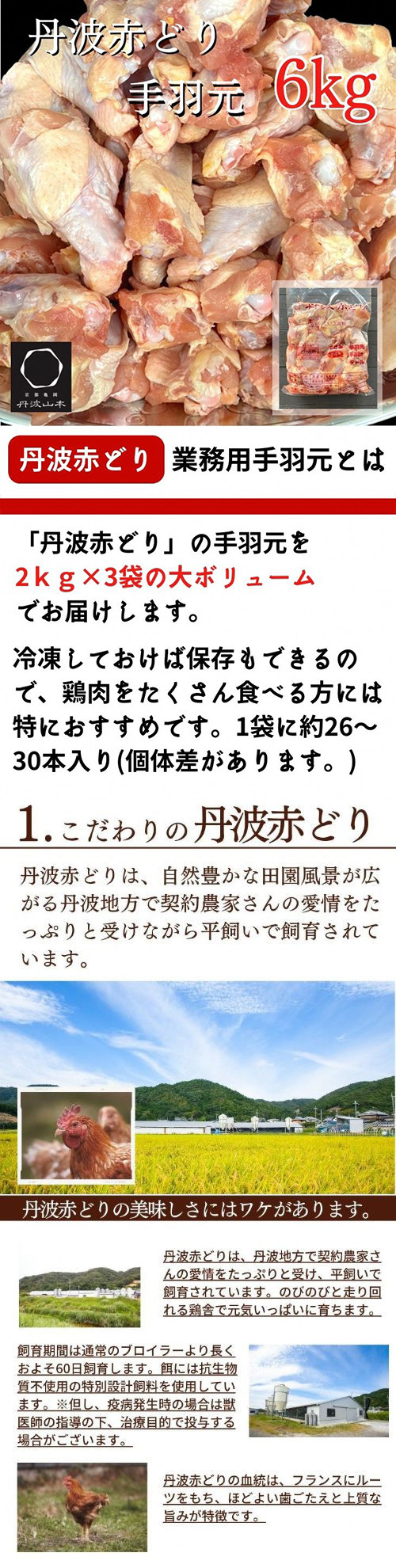 京都市ふるさと納税特別返礼品 - 美術館・博物館